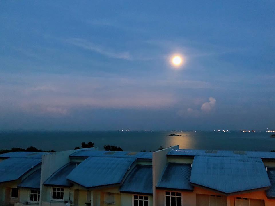 Shamrock Boutique Villa - Stay For 12 Person Batu Ferringhi Exterior photo